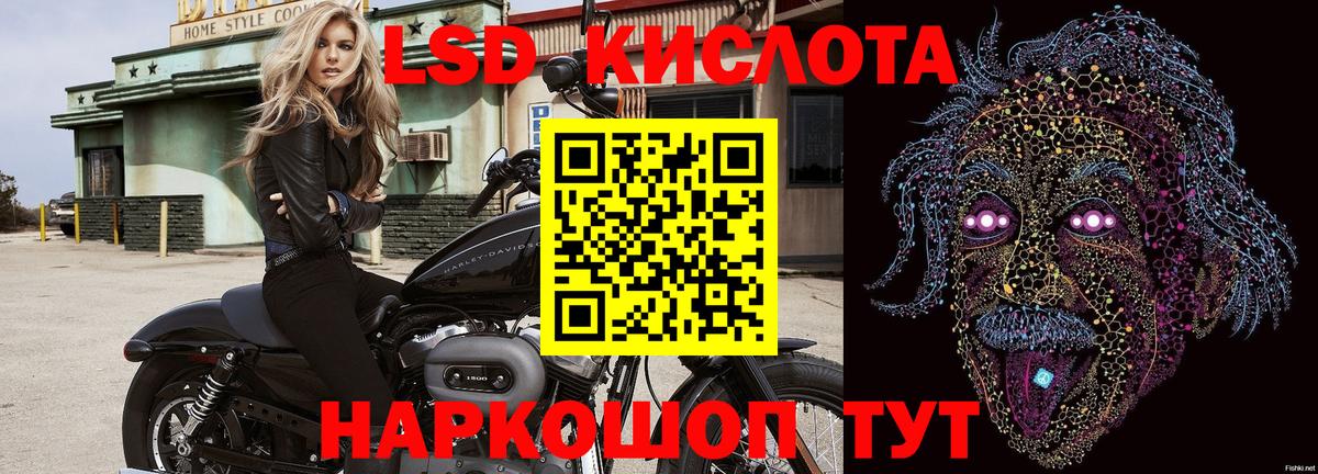 Галлюциногенные грибы Артём