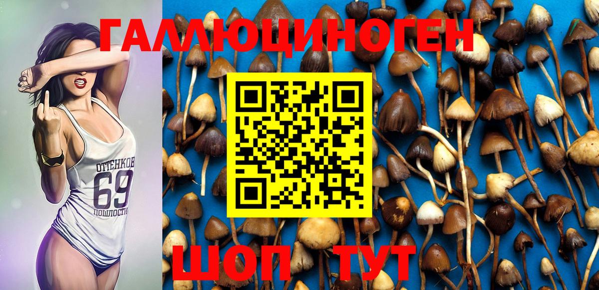 Псилоцибиновые грибы GOLDEN TEACHER  Артём 