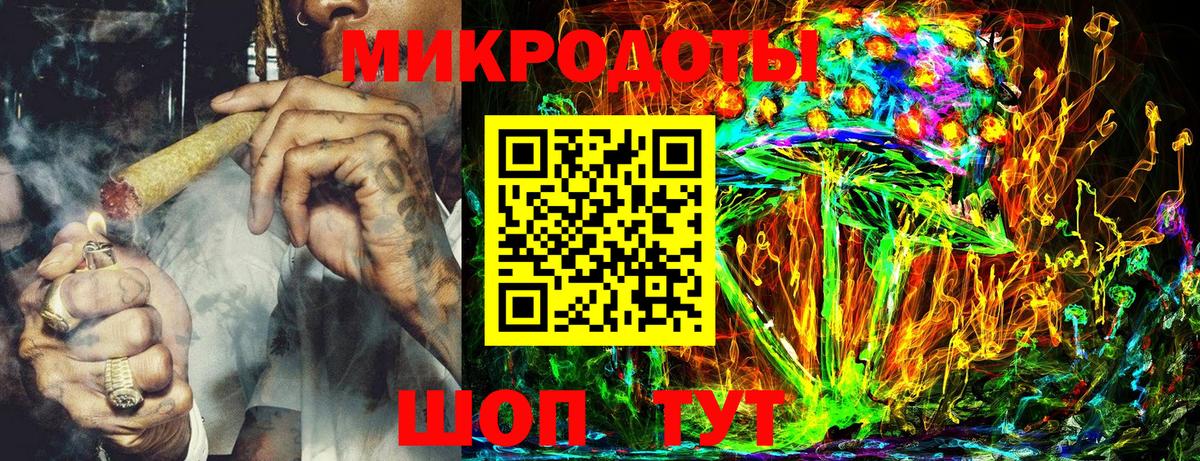 Псилоцибиновые грибы Psilocybe Артём